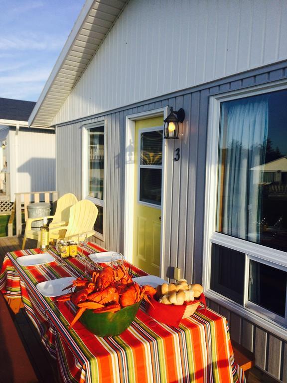Cavendish Bosom Buddies Cottage Resort Bilik gambar